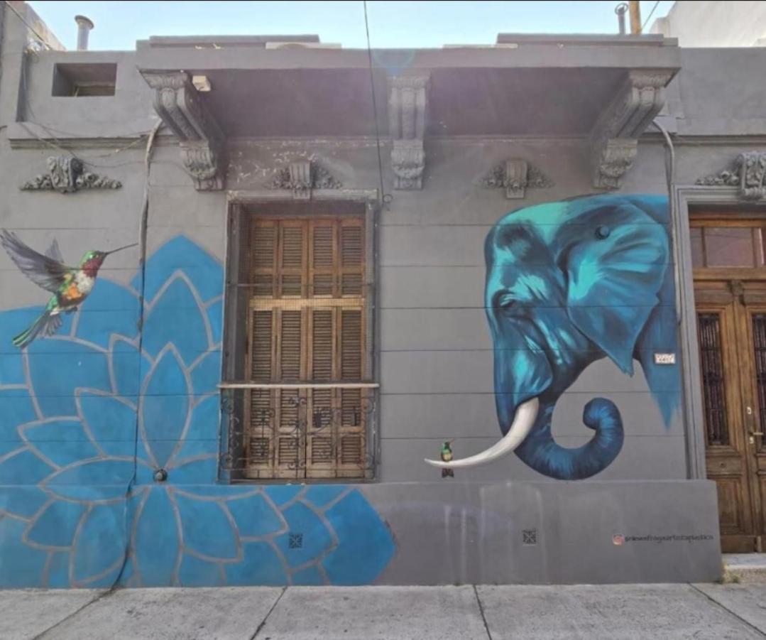 Blue Elephant House - Buenos Aires, Buenos Aires